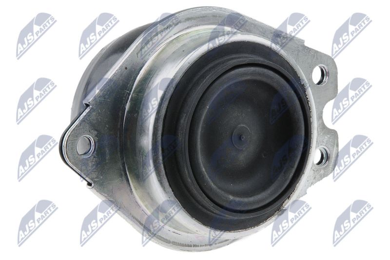 NTY ZPS-RE-046 Mounting, engine