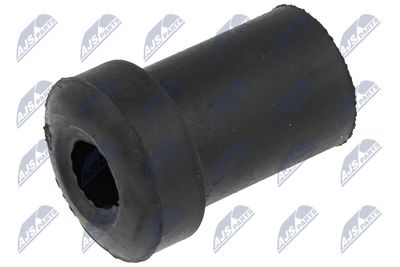 Bushing, leaf spring NTY ZTT-CH-001B