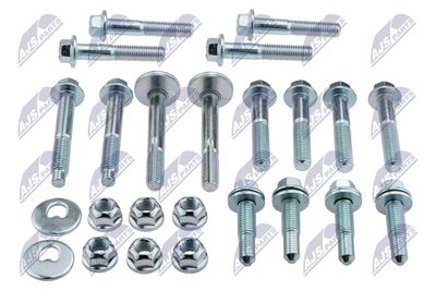 Camber Correction Screw Set NTY ZWT-FR-000SKK
