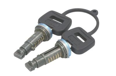 Door Lock PACOL DAF-DH-001