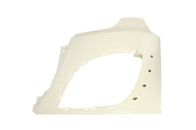 Housing, headlight PACOL DAF-HLS-004L