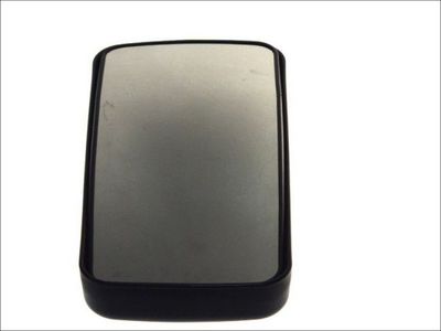 Exterior Mirror PACOL DAF-MR-008