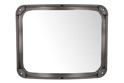 Exterior Mirror PACOL DAF-MR-026