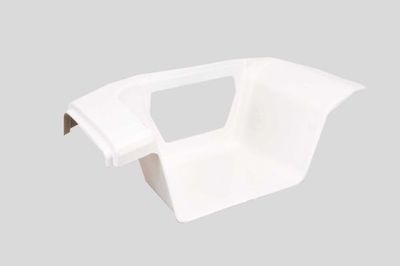 Foot/Running Board PACOL DAF-SG-001R