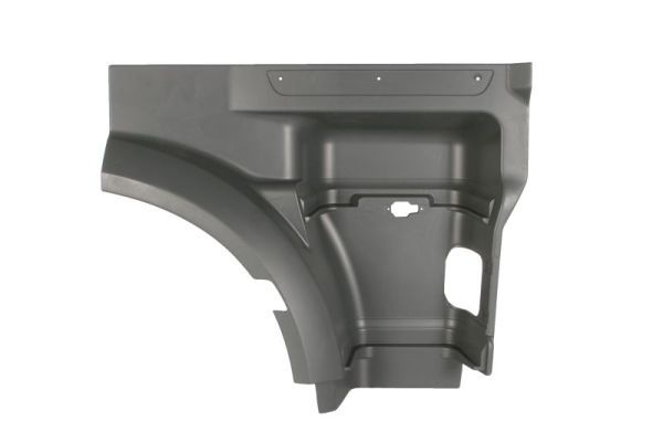 PACOL DAF-SP-011R Foot/Running Board