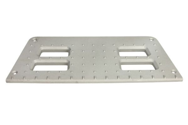 PACOL DAF-SP-021 Foot/Running Board