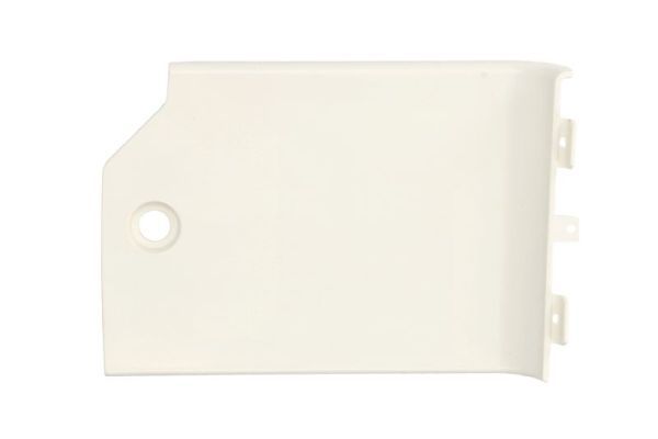 PACOL DAF-SP-025L Foot/Running Board