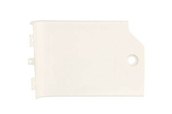 PACOL DAF-SP-025R Foot/Running Board