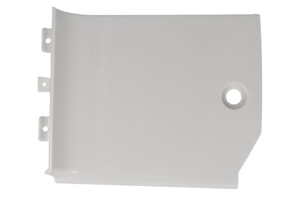 PACOL DAF-SP-028R Foot/Running Board