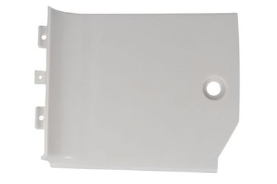 Foot/Running Board PACOL DAF-SP-028R