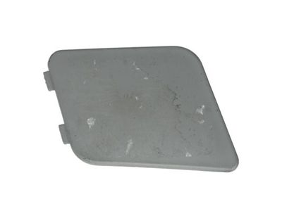 Cover, bumper PACOL IVE-BC-001R