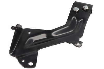 Holder, radiator grille PACOL MAN-FP-038L