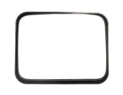 Exterior Mirror PACOL MAN-MR-008