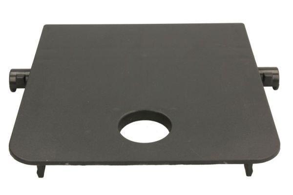 PACOL MER-SP-061 Foot/Running Board