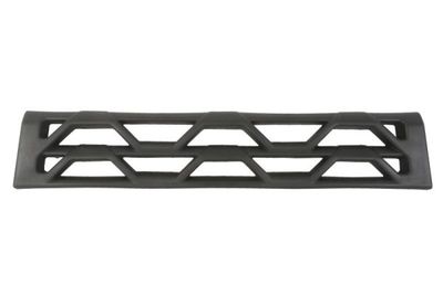 Radiator Grille PACOL RVI-FP-018