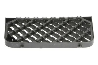 Foot/Running Board PACOL RVI-S-001L