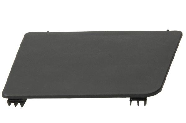 PACOL RVI-SP-024L Foot/Running Board