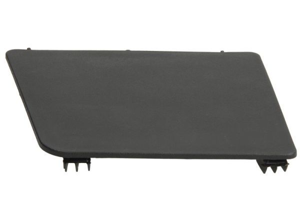 PACOL RVI-SP-024R Foot/Running Board