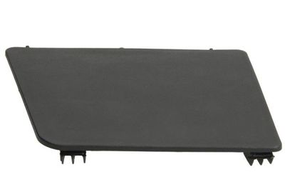 Foot/Running Board PACOL RVI-SP-024R