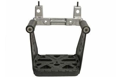 Foot/Running Board PACOL RVI-SP-025