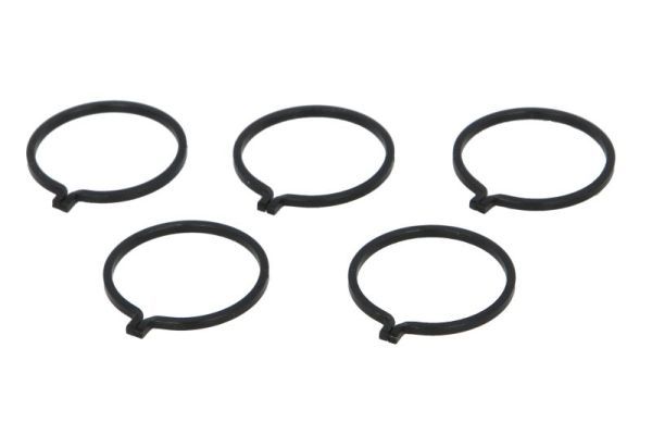 PASCAL CIR G1X03PC Bearing Ring, propshaft centre bearing