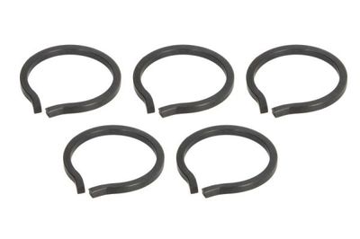 Lock Washer, differential drive flange fastening PASCAL CIR G1001PC