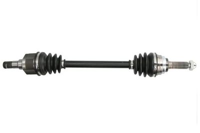 Drive Shaft PASCAL G20001PC