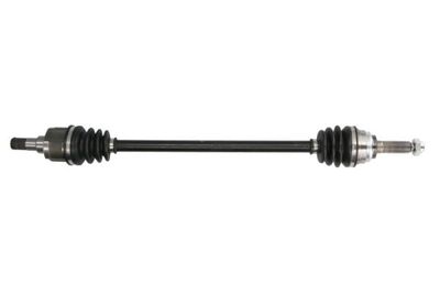 Drive Shaft PASCAL G20002PC