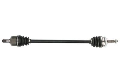 Drive Shaft PASCAL G20006PC