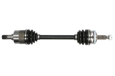 Drive Shaft PASCAL G20007PC