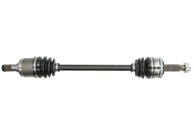 Drive Shaft PASCAL G20025PC