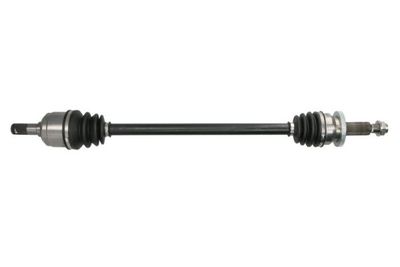 Drive Shaft PASCAL G20035PC