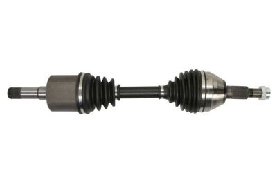 Drive Shaft PASCAL G20043PC
