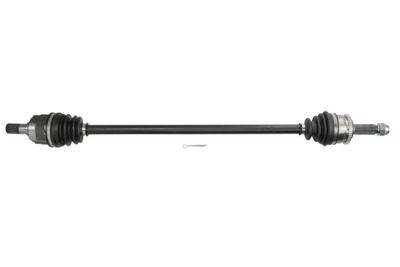 Drive Shaft PASCAL G20055PC