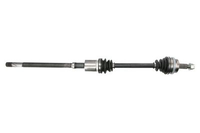 Drive Shaft PASCAL G21019PC