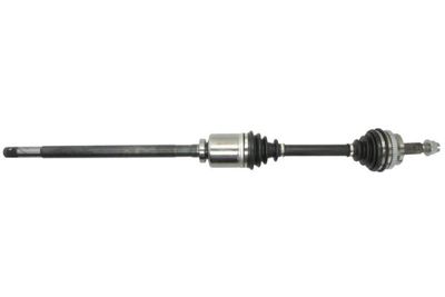 Drive Shaft PASCAL G21020PC