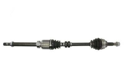 Drive Shaft PASCAL G21025PC