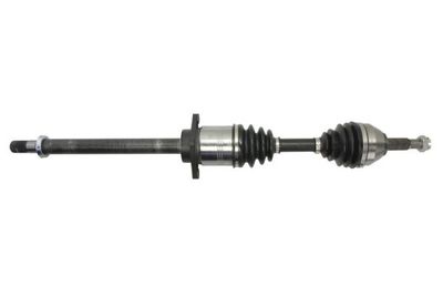 Drive Shaft PASCAL G21030PC