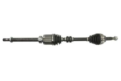 Drive Shaft PASCAL G21039PC
