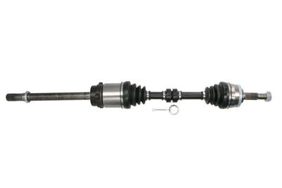 Drive Shaft PASCAL G21056PC