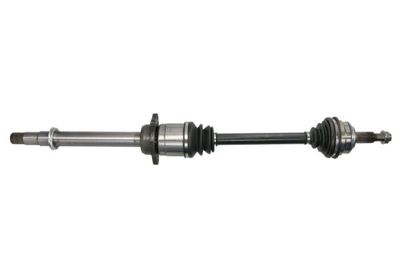 Drive Shaft PASCAL G22009PC