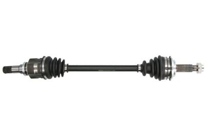 Drive Shaft PASCAL G22010PC