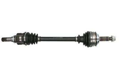Drive Shaft PASCAL G22019PC
