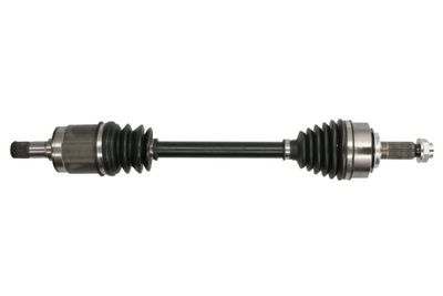 Drive Shaft PASCAL G24018PC