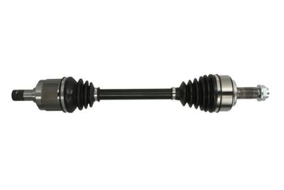 Drive Shaft PASCAL G24019PC