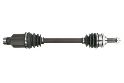 Drive Shaft PASCAL G28008PC