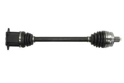 Drive Shaft PASCAL G2A009PC