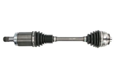 Drive Shaft PASCAL G2B019PC