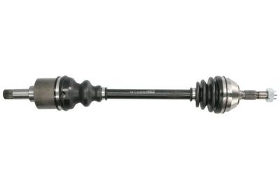 Drive Shaft PASCAL G2C001PC