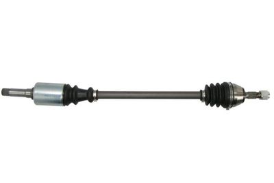 Drive Shaft PASCAL G2C002PC